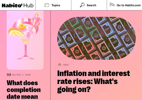 Habito Hub - Curated by an in-house studio.