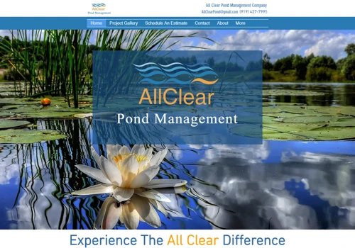 Website Design
