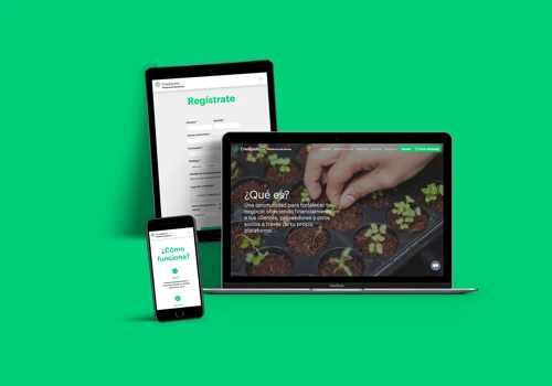 Pushing growth with Credijusto