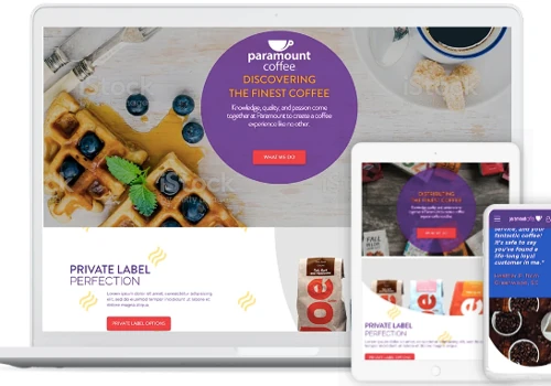 Magento eCommerce Development Services | Paramount