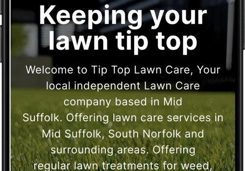Website for local lawn care company