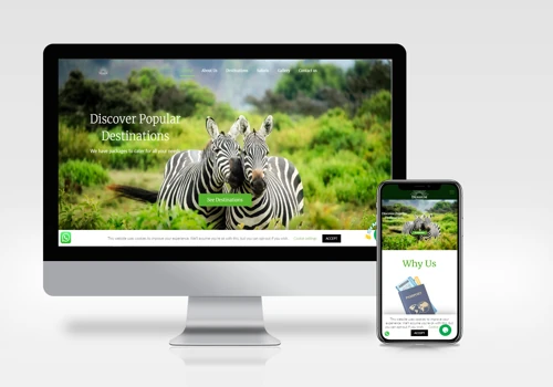 Social Media Marketing, Google Ads and Website Development