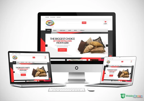 Ecommerce Website Developement