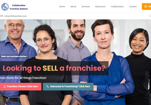 Franchise Consultancy Website