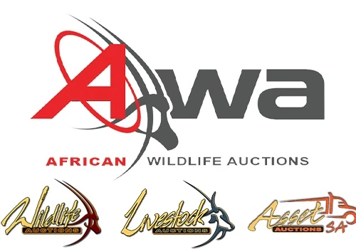 African Wildlife Auctions