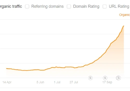 6 Months, 263% Traffic Increase. Sustainable Niche