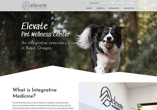 Elevate Pet - local vet clinic