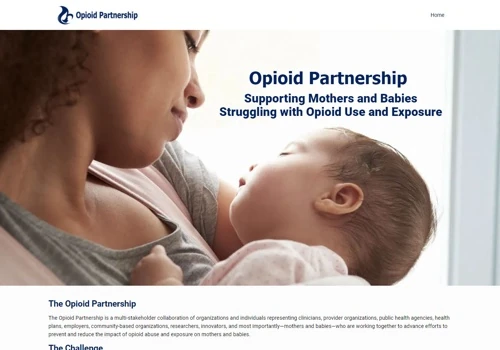 Social Media Marketing for http://opioidpartnership.org/