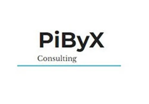 PiByX Consulting