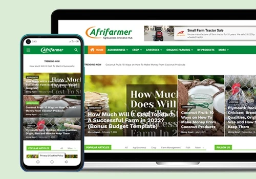Brand identity and website design - Afrifarmer