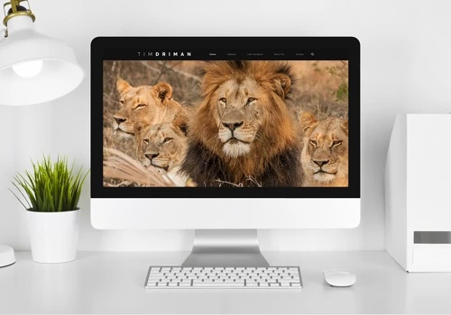 Photography Portfolio Website