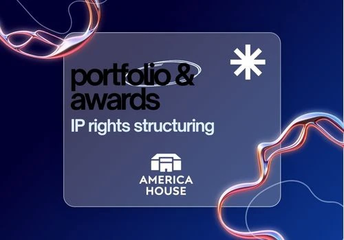 IP rights structuring