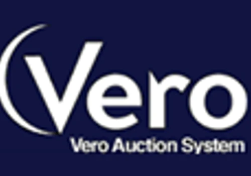 Online Auto Action Software
