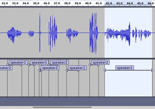 Speaker Diarization