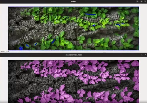 Image Annotation