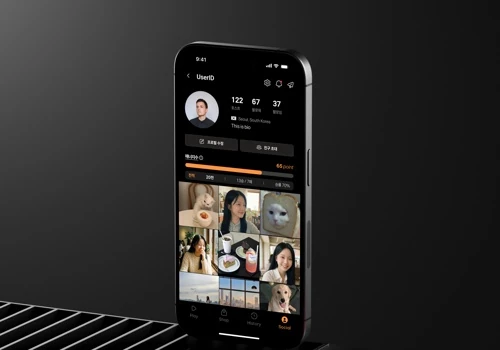 Nooly (Gamified Social Interaction Platform)