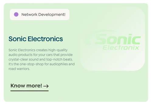 Driving Business Growth: A Sonic Electronics Case