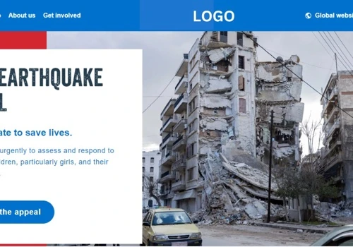 humanitarian organisation