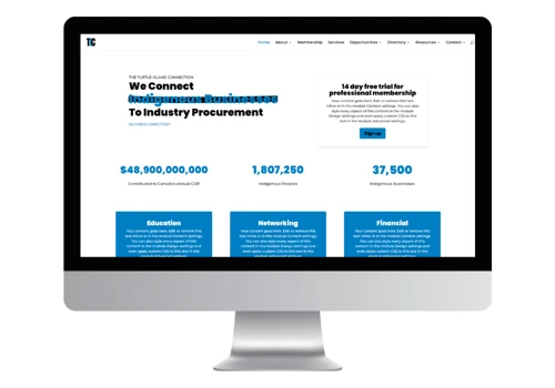 Web Design Highly Complex Business Icubator
