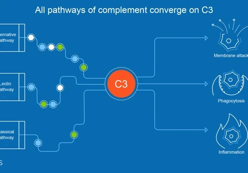 Presentation design for investor conference