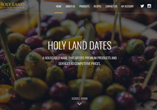 Holy Lands