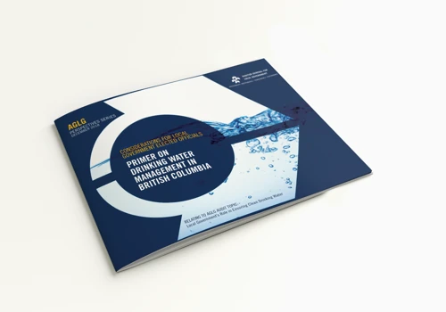 Auditor for Local Government — Perspective Series Booklet