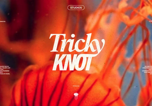Tricky Knot — Branding and website
