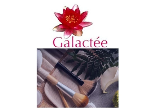 Omnichannel and franchise digital setup for the Beauty Brand Galactee