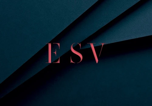 ESV Group Brand Identity