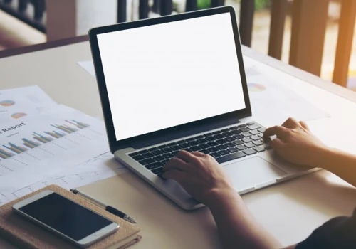 Web development