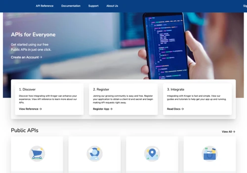 API Portal Development