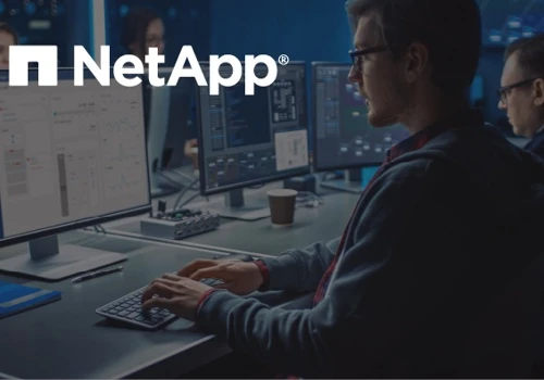 Enterprise High-Performance Team  Augmentation