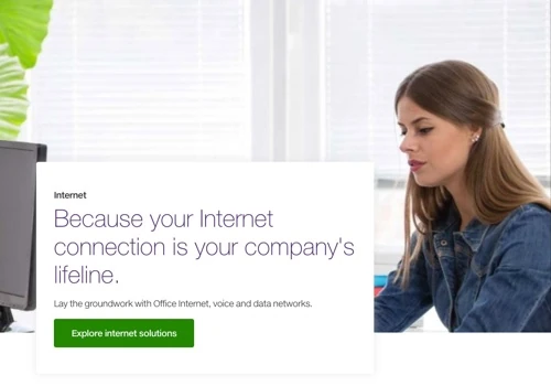 TELUS SEO
