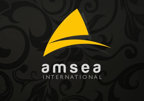 Logo & Branding for Amsea International