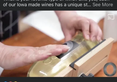 Winery in Need of Increased Sales