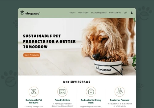 Ecommerce Shopify Website
