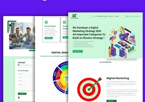 Digital Snakes - A Digital Marketing Strategy Webs