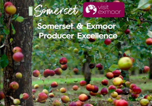 Culinary Showcase Experience