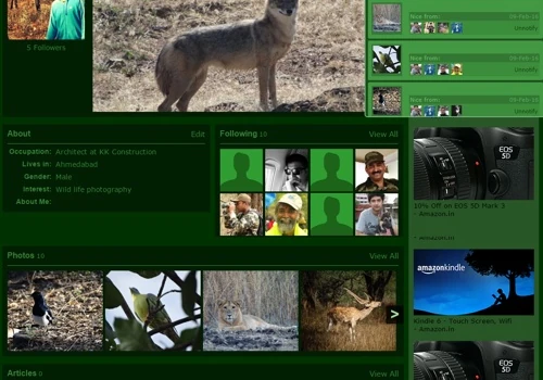 Social Network for Wildlife Photographers