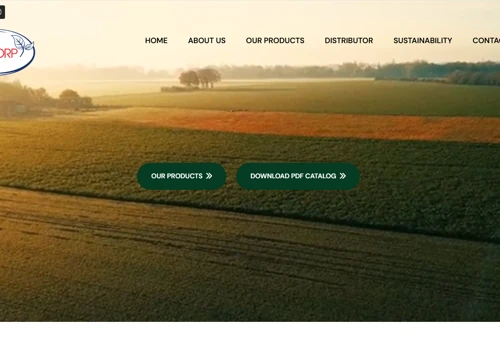 Wordpress Website