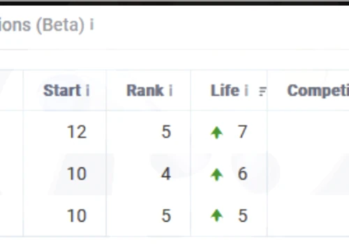 Search Engine Rankings Improvements