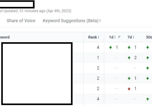 Organic growth and SEO ranking increase
