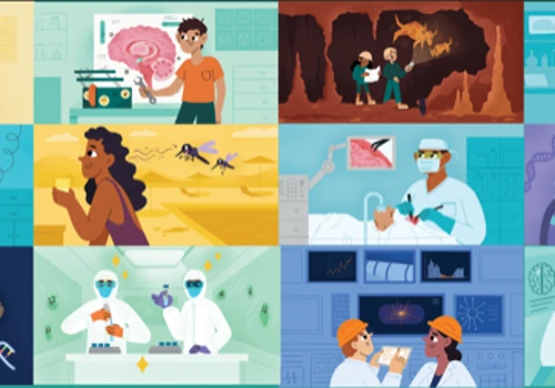 Frontiers Illustrations