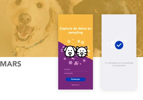 Mars Petcare México: Sampling