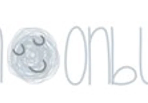 SEO for website