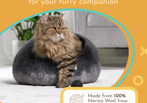 Amazon A+ Content as a Part of a Content Package