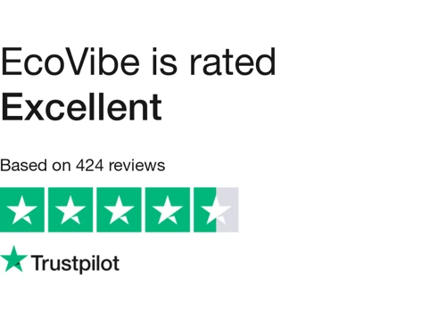 EcoVibe SEO