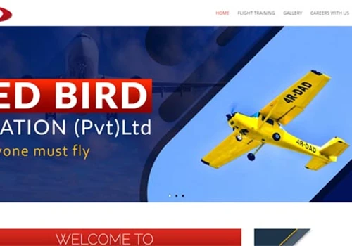 Web design for an aviation company