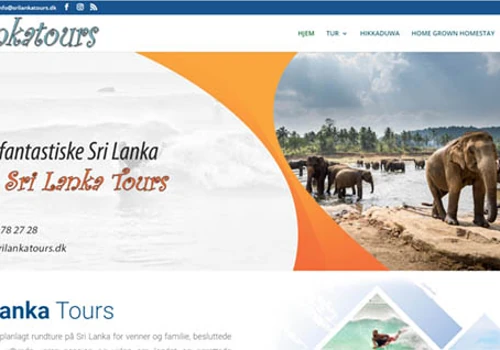 Web Side Design For Denmark Company