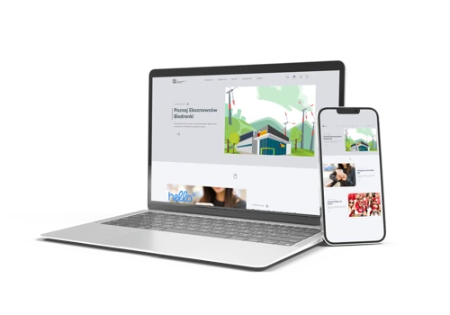 Intranet for Biedronka